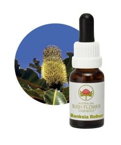 Banksia Robur, 15 ml